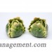 CosmosGifts Cabbage Salt and Pepper Set SMOS1026